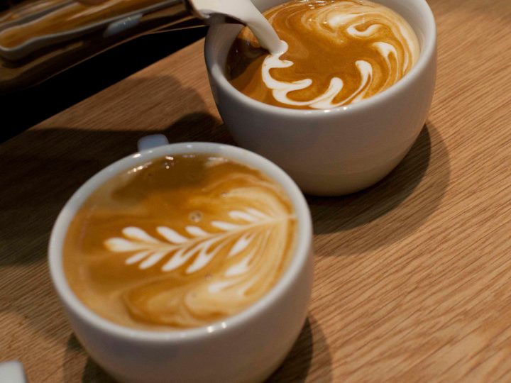 Barista-Basisseminar