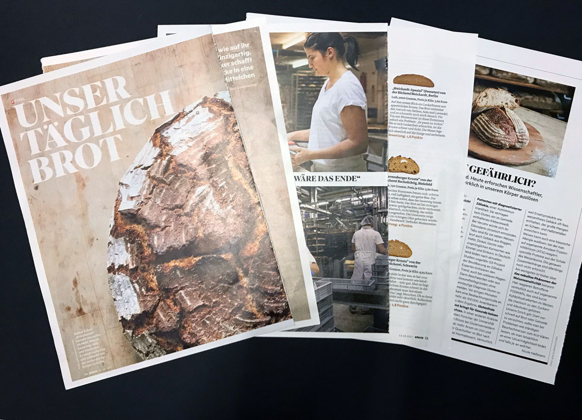 Stern-Story – das sagen Kollegen