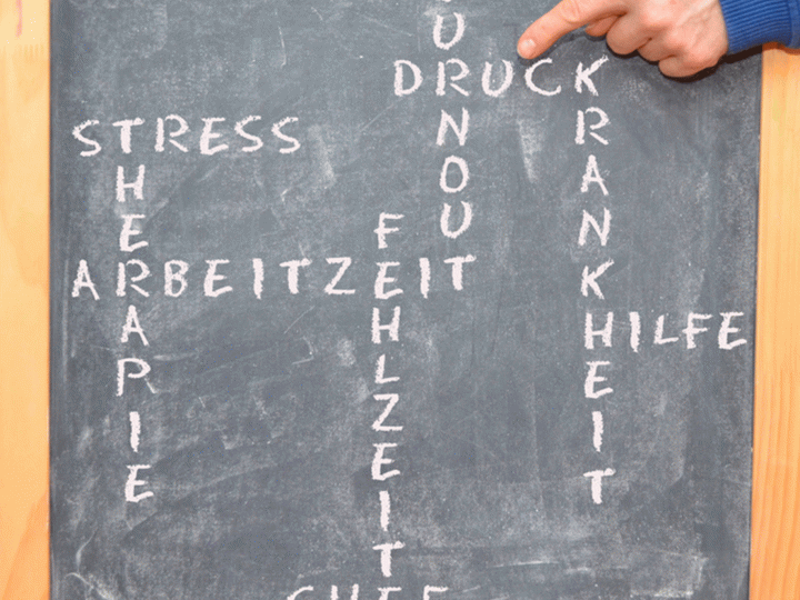 BGN berät Ritter Sport