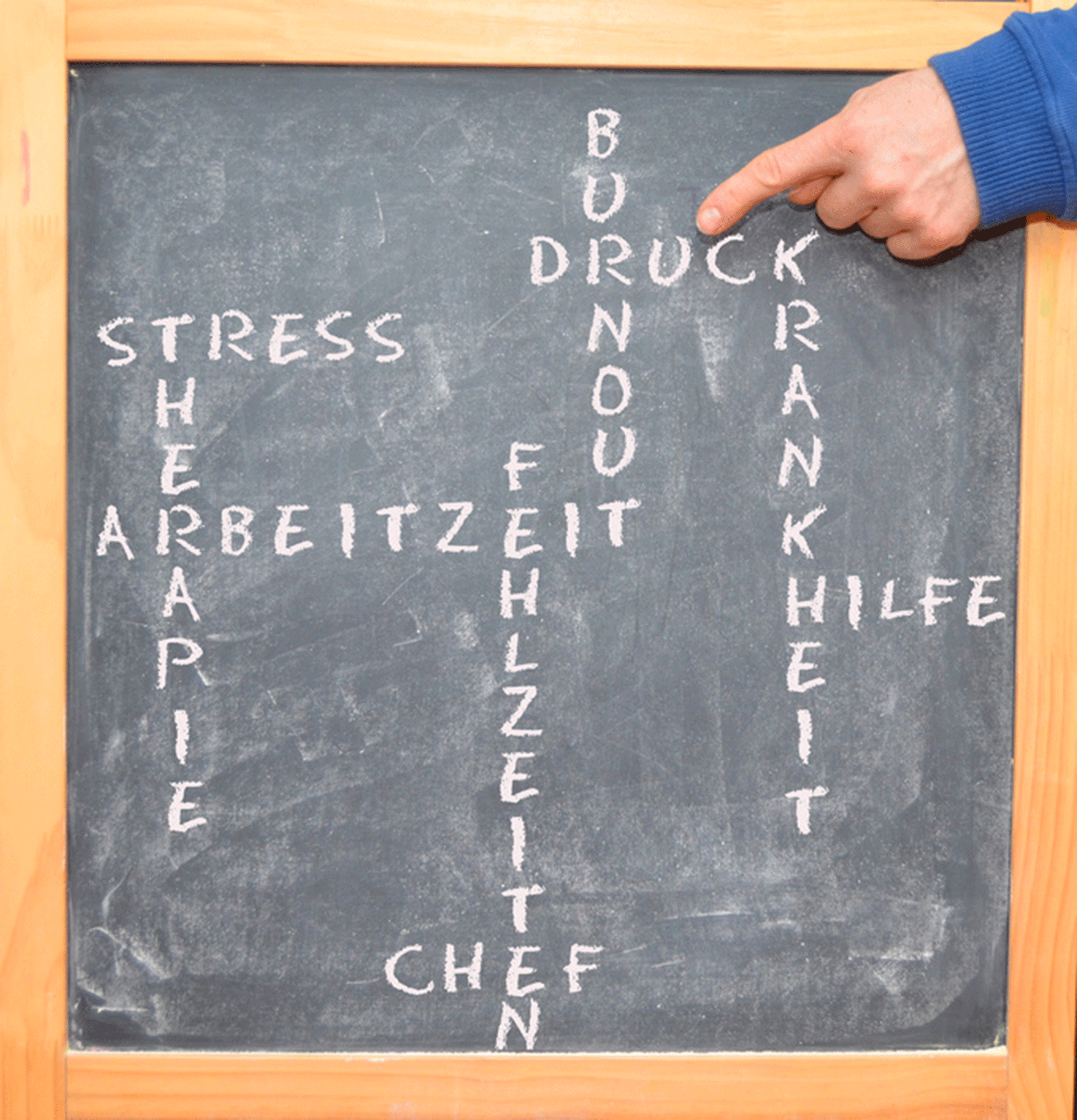 BGN berät Ritter Sport