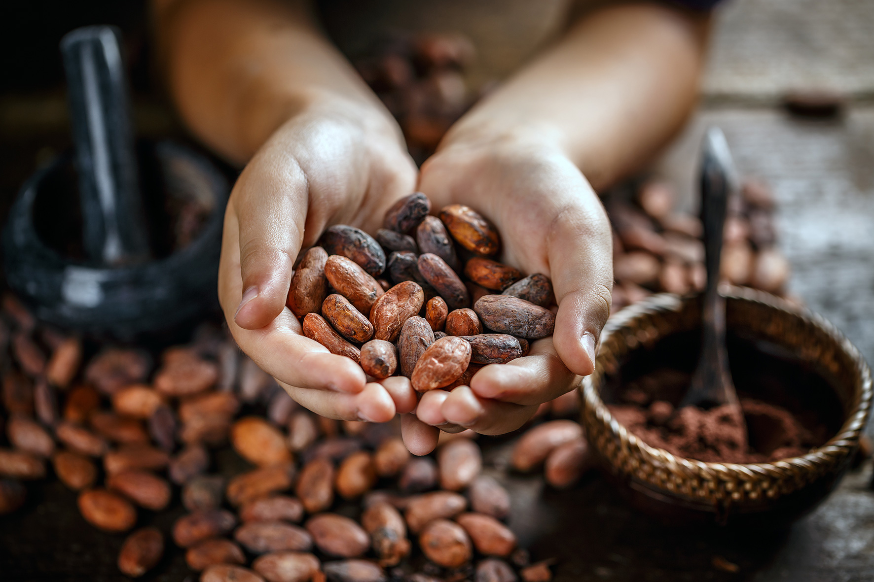 Verkaufsstopp Kakao