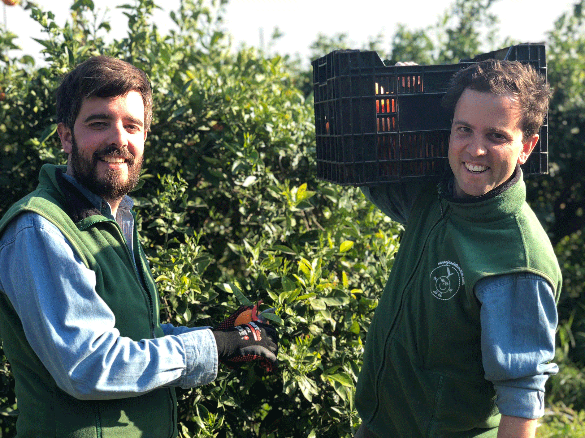 Lieferkonzepte mit Zukunft