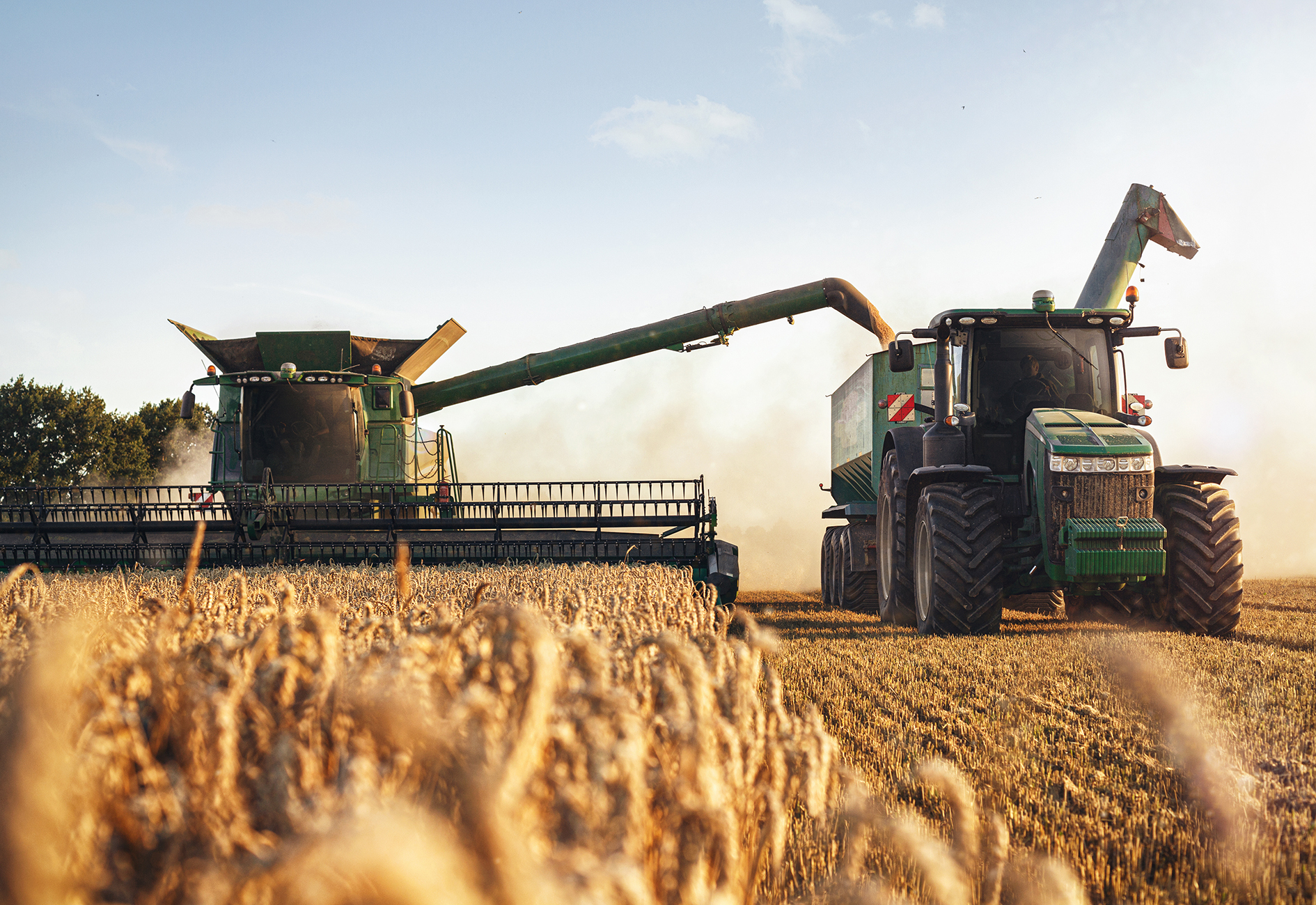 Klimaresistente Landwirtschaft