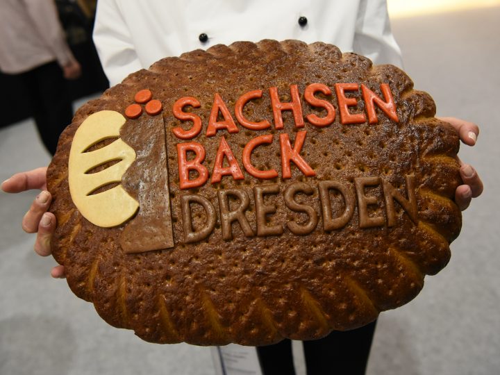 Sachsenback 2024