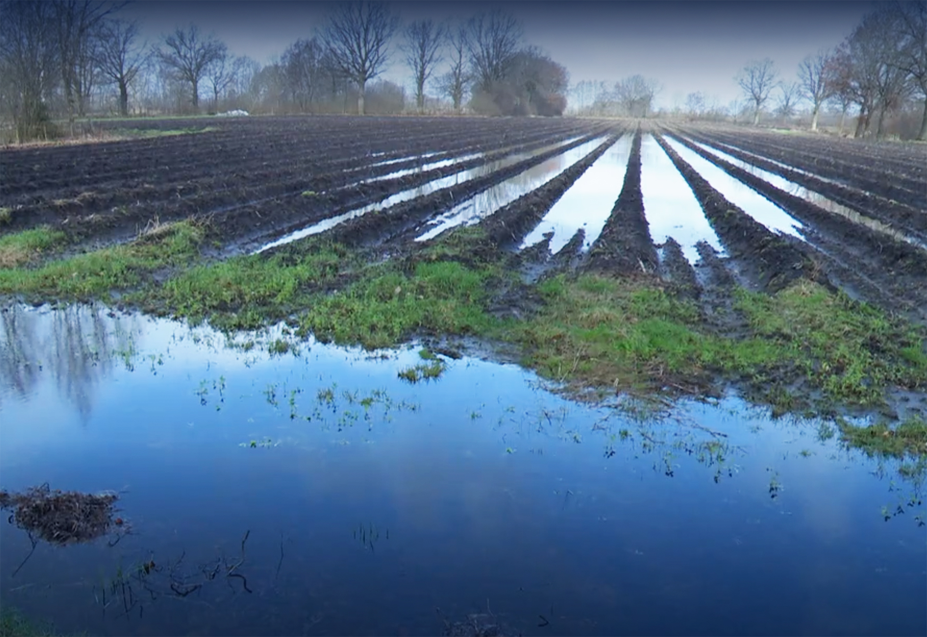 Viel Regen, nasse Böden