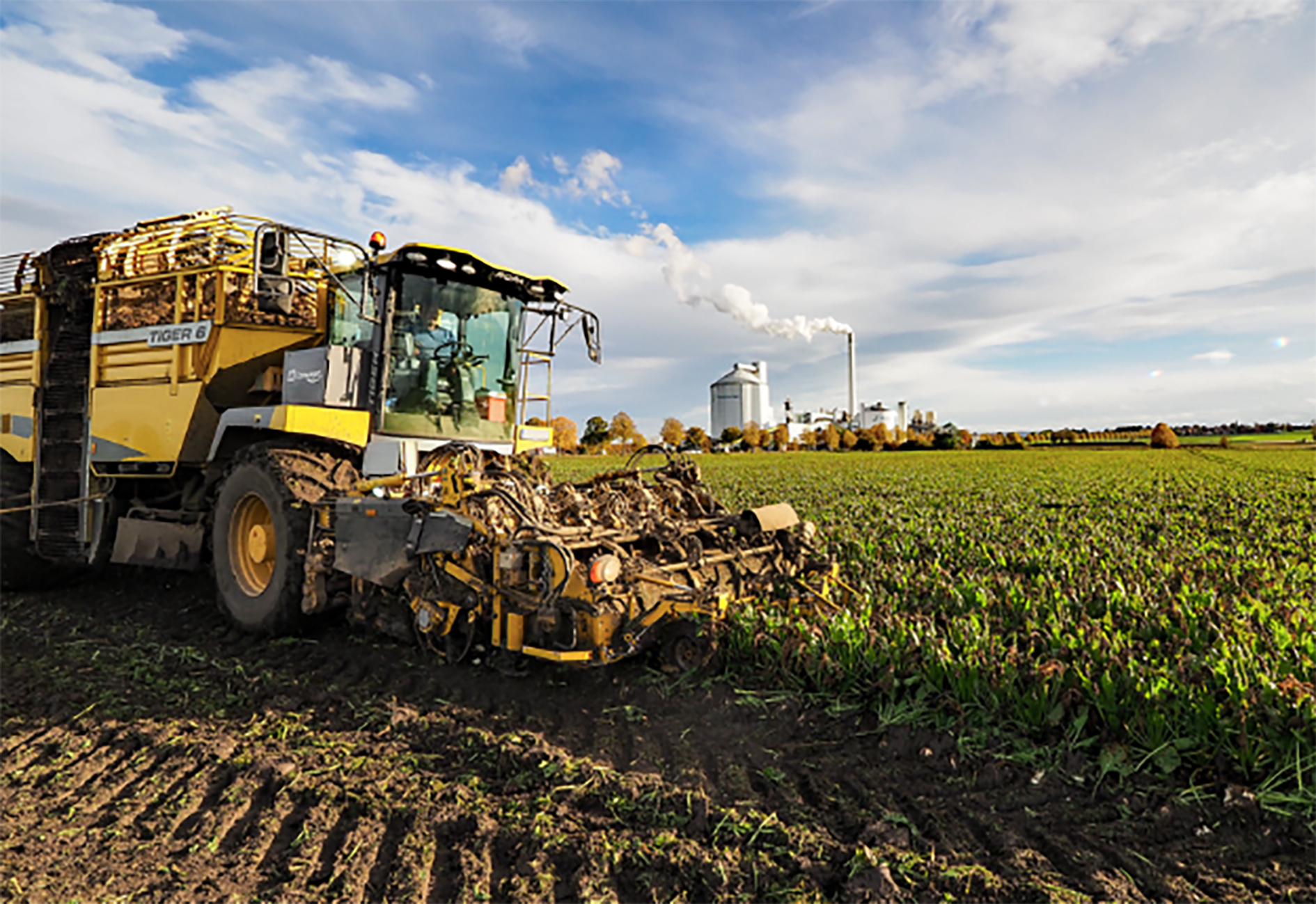 Nordzucker startet Ernte und Verarbeitung