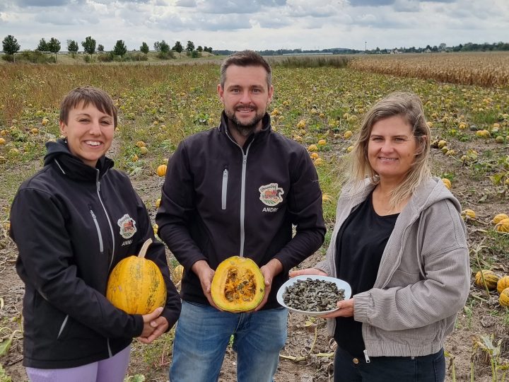 Brot verbindet Region und Handwerk