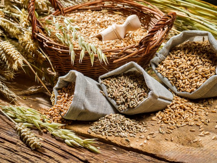 Symposium: Mehr Vollkorn wagen