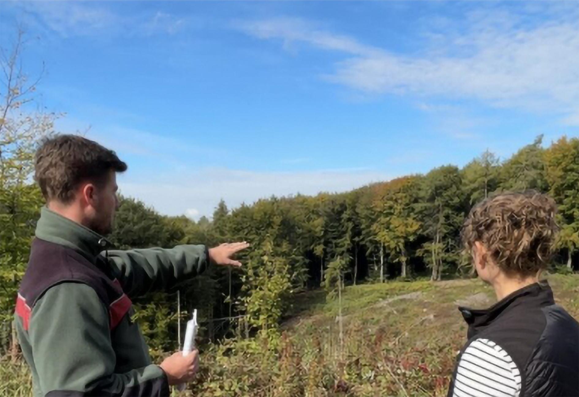 Bäckerei startet Aufforstungsaktion