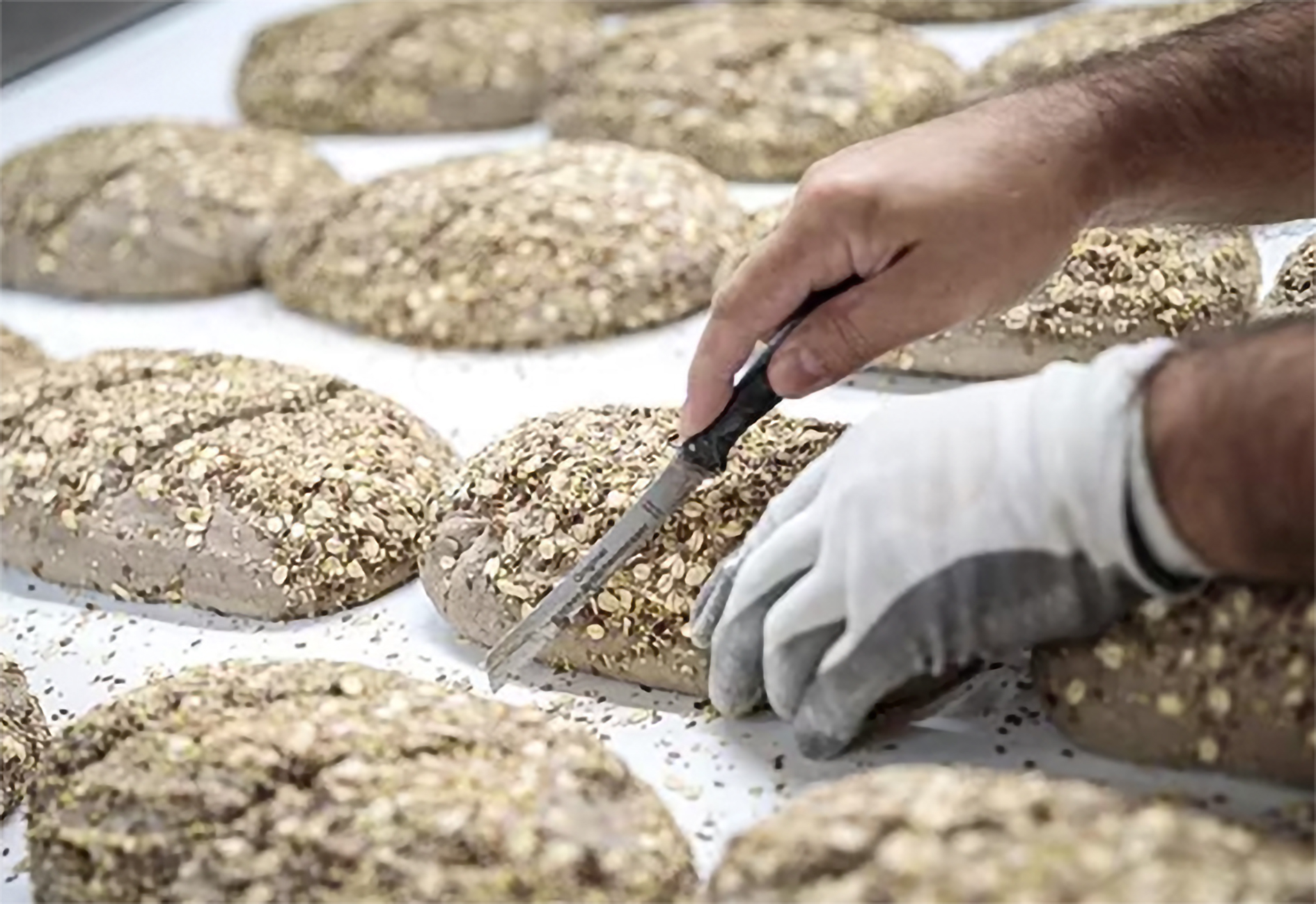 Gesund und sicher vom Mehl zum Brot