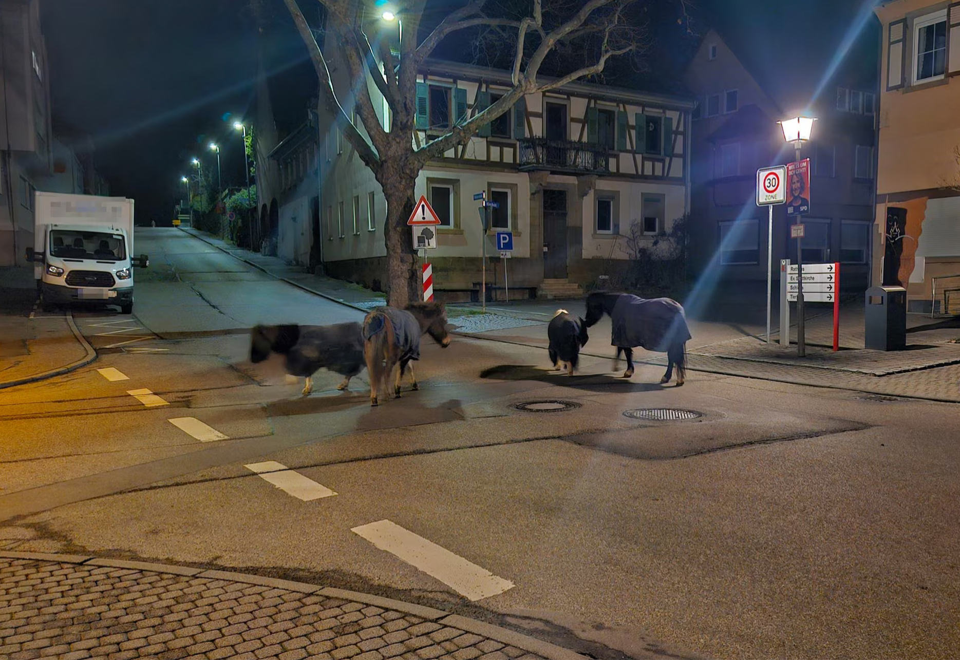 Zufällig Ponyretter