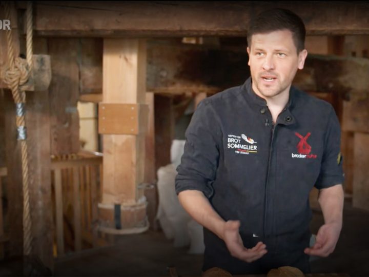 Bäckerei-Brötchen im Test