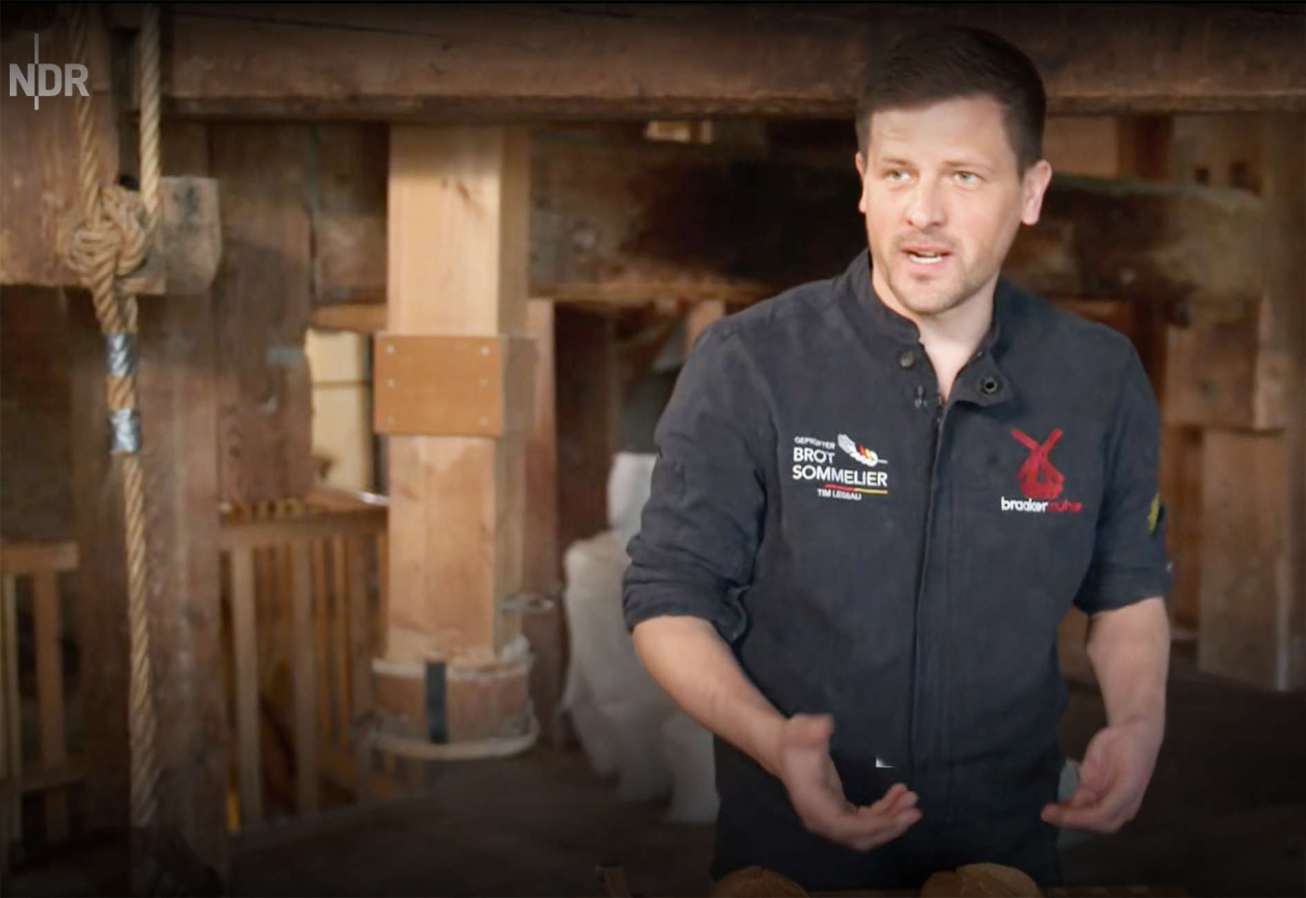 Bäckerei-Brötchen im Test