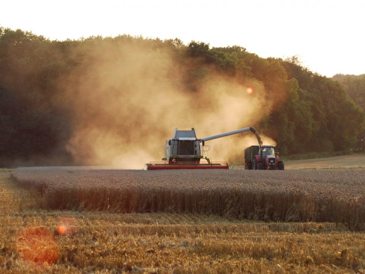 Bauernverband erwartet deutlich weniger Ertrag